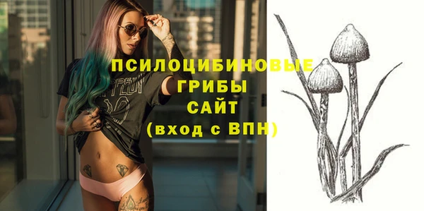 стаф Михайловка