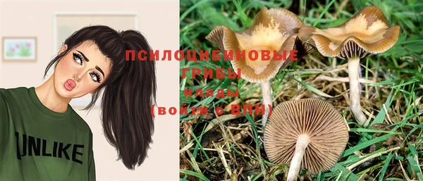 стаф Михайловка