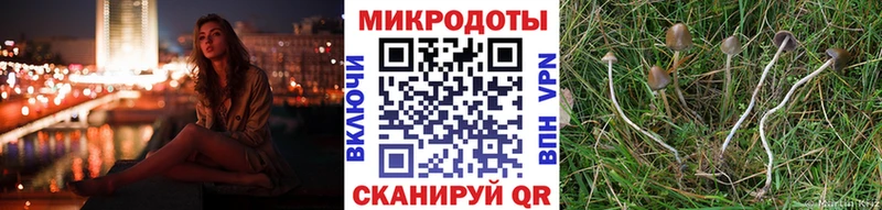 Галлюциногенные грибы Psilocybine cubensis  OMG маркетплейс  Полевской 