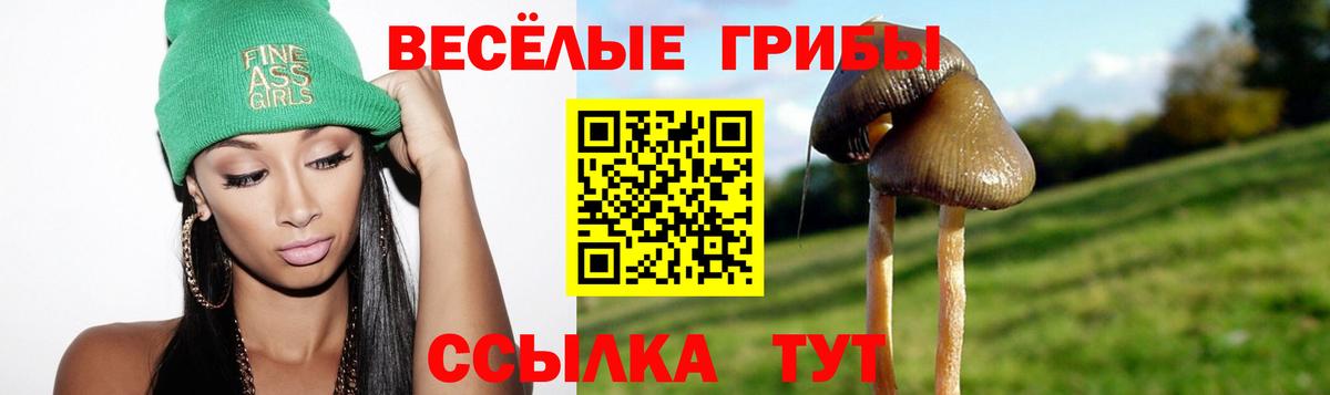 Полевской  Галлюциногенные грибы Magic Shrooms  Вход с VPN 